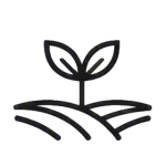 Unioninvest